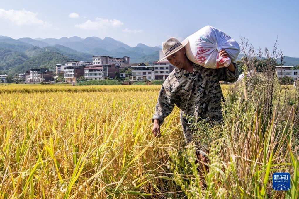 天天川麻上下分的客户